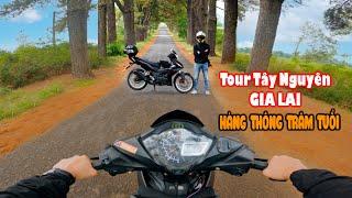 Tour Tây Nguyên | Du Lịch Pleiku Gia Lai - Khám Phá Biển Hồ , Hàng Thông Trăm Tuổi |Tích Travel#151