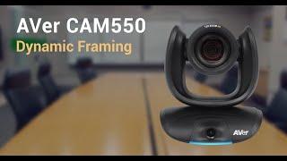 AVer CAM550 Quality Video | Dynamic Framing