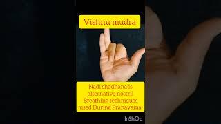 # Vishnu mudra # Nadi shodhana #