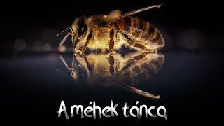 The dance of the bees (A méhek tánca)