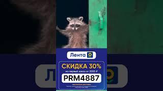 Обновленный промокод на скидку в магазине Лента #лента #доставкапродуктов #промокод #скидка #выгодно