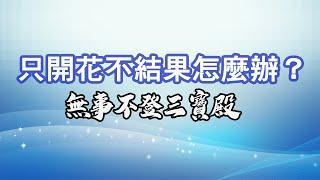 無事不登三寶殿 9/10/24 只開花不結果怎麼辦？！