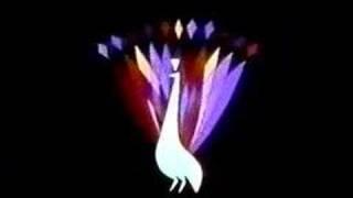 NBC PEACOCK - NETWORK ID - 1950s