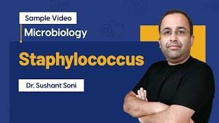 Staphylococcus | Microbiology | 2nd Year BDS | Dr. Sushant Soni | DBMCI MDS