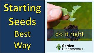 Starting Seeds - The Best Way | Compare 5 Seeding Methods