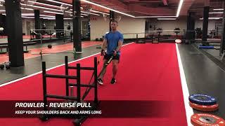 EXERCISE TUTORIAL | Prowler - Reverse Pull