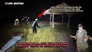 Live Misteri ‼️viral musim kemarau ada hantu sedang panen padi.