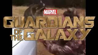 Guardians Of The Galaxy Rocket Raccoon Vine