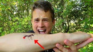 THE BULLET ANT CHALLENGE! (EXTREMELY PAINFUL)