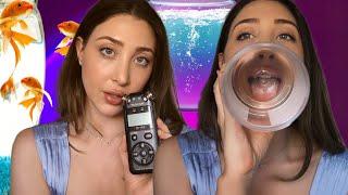 ASMR FISH BOWL WITH TASCAM AND MOUTH SOUNDS