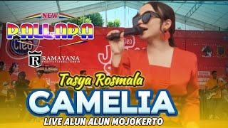 Camelia - Tasya Rosmala - New Pallapa Live Alun-alun Mojokerto Terbaru 2024