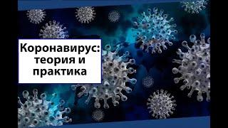 Коронавирус: теория и практика. Общая информация о вирусе. Что нужно о нём знать.