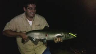 Night-Time Fishing for Salmon in the Niagara Whirlpool