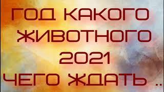 КАКИМ БУДЕТ 2021 ГОД - ГОД КАКОГО ЖИВОТНОГО И ЧТО НАС ЖДЕТ