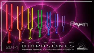 DIAPASONES - Fyn - 2014