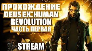 ПОЛНОЕ ПРОХОЖДЕНИЕ НА РУССКОМ ЧАСТЬ ПЕРВАЯ | DEUS EX: HUMAN REVOLUTION STREAM