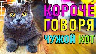 КОРОЧЕ МЯУ ГОВОРЯ ЧУЖОЙ КОТ | ПАРОДИЯ Magic Pets