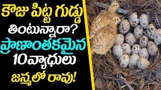 10 Health Benefits Of Quail Birds Eggs | కౌజు పిట్ట గుడ్లు తింటున్నారా?ప్రాణాంతకమైన వ్యాధులు పరార్.