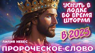 ПРОРОЧЕСКОЕ СЛОВО: УСНУТЬ В ЛОДКЕ ВО ВРЕМЯ ШТОРМА В 2025 ГОДУ. Лилия Небес