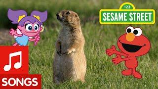 Sesame Street: Dance Like a Prairie Dog! | Animal Dance #6