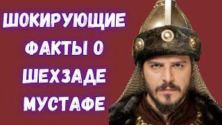 Упрямец и деспот. Истинное лицо шехзаде Мустафы.