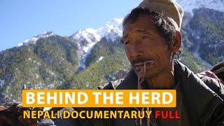 Full Nepali Documentary 'Behind The Herd' an epic story form Karnali region of Nepal, Himalayas.