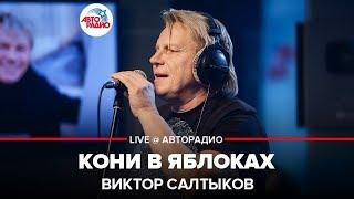 Виктор Салтыков - Кони в Яблоках (LIVE @ Авторадио)