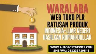 Video Tutorial Jasa bikin web PLR install web berisi ratusan produk siap jual