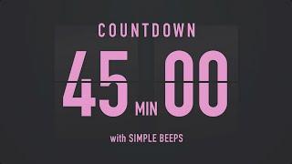 45 Minutes Countdown Flip Clock Timer / Simple Beeps 