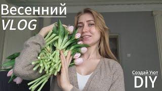 Чем Украсить Дом Весной? | Правда О Создании Уюта | DIY VLOG