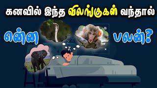 Meaning of Animals in Dreams | விலங்குகள் கனவில் வந்தால் என்ன பலன் | Samayam Tamil