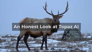 An Honest Look at Topaz AI