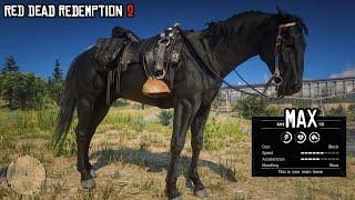 A Perfect Black Race Horse for Arthur | Black American Standardbred | RDR2 | PS4 Slim