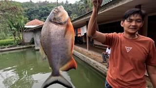 KEHIDUPAN DI PEDESAAN, MANCING IKAN BAWAL, NGALIWET DAN SAMBAL KACANG