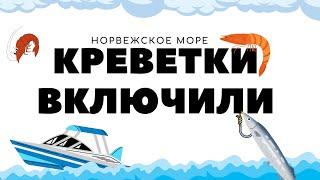 Фарм на море 1к в час в РР4 / Русская рыбалка 4