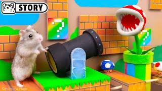  Hamster Escapes the Super Mario Maze 2.0  Homura Ham