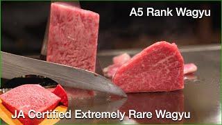 EXTREMELY RARE WAGYU BEEF - A5 Rank Ishigaki Wagyu, Teppanyaki Steak Ishida Ishigaki [2021]