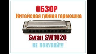 Обзор губной гармошки SWAN SW1020. Совет начинающим. Выбор губной гармоники.