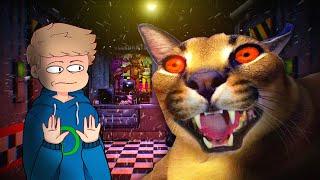 FNAF, aber mit KATZEN!