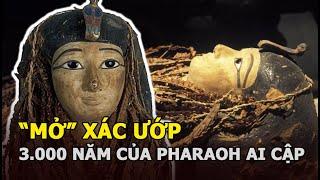 “Mở” xác ướp 3.000 năm của Pharaoh Ai Cập: Dung mạo thật "gây sốc" và những bí mật động trời