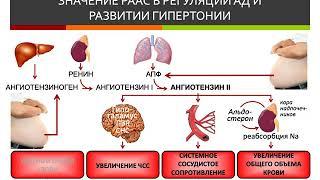 Гипертензия (лектор И.Ю.Малышев)