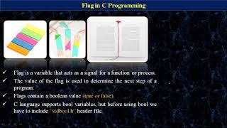 Flag Variable in C Programming Language | Flag Variable with Example