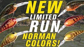 Norman Drops 3 New Crankbait Patterns for Pre-Spawn Bass Fishing!