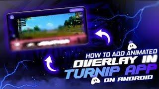 HOW TO ADD ANIMATION OVERLAY IN TURNIP LIVE STREAM