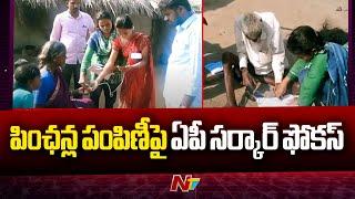 AP Government Focus on Distribution of Pensions | CM Chandrababu Naidu | TDP | Ntv