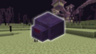 What are Endermites?