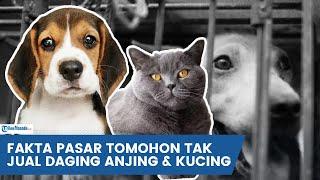 FAKTA BARU PASAR EKSTRIM TOMOHON TAK LAGI JUAL DAGING ANJING DAN KUNCI, KATA PD