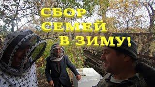 Собираю СЕМЬИ ПЧЁЛ в ЗИМУ моему другу Сергею/ Мало МЁДА в ульях ЧТО ДЕЛАТЬ/ Нужно соединить слабых!