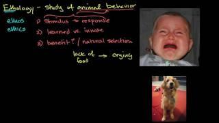 Ethology and animal behavior