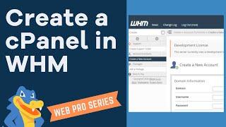 How to Create a cPanel Account in WHM